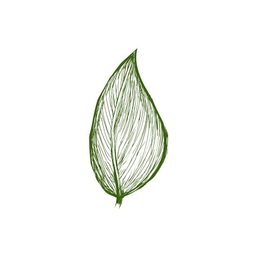 Care For Your Gardenlogo