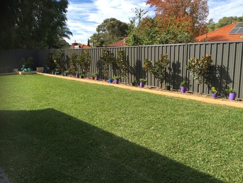 Colorbond Fencing 3