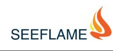 See Flame Gas