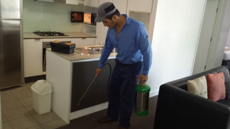 bed bug pest control 768x432
