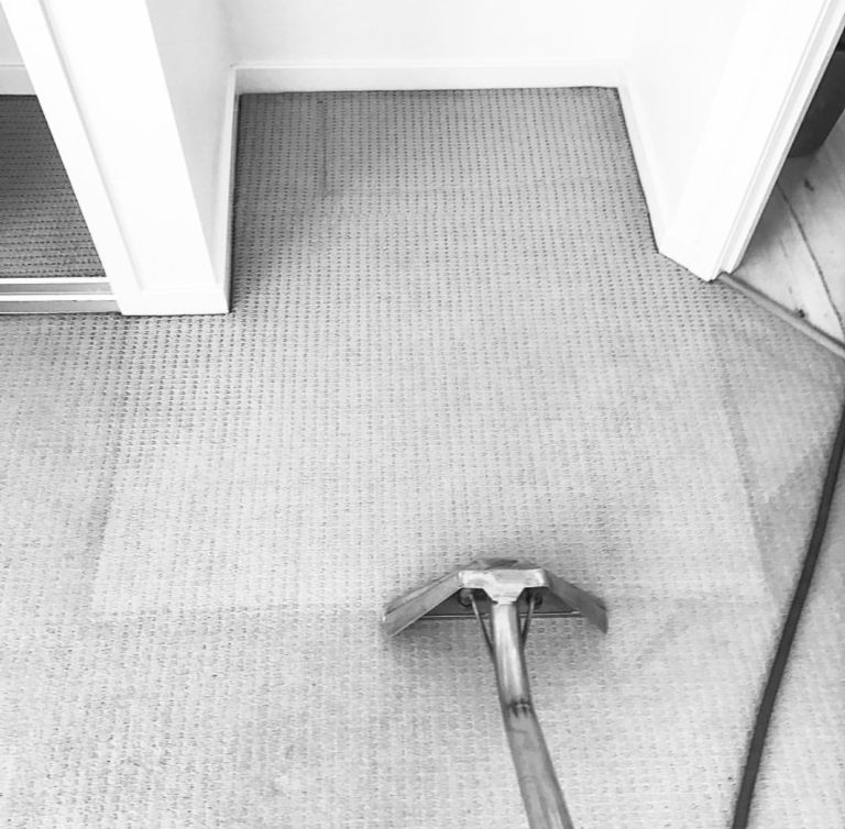 carpet clean brisbane 768x754