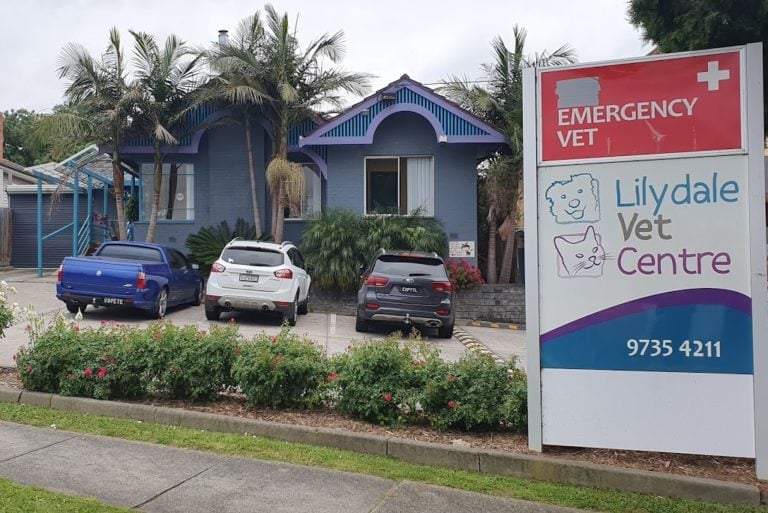 ffdb6463c7cf898998fd415cdd7bce4a victoria yarra ranges shire lilydale lilydale vet centre 03 9735 4211html 768x513