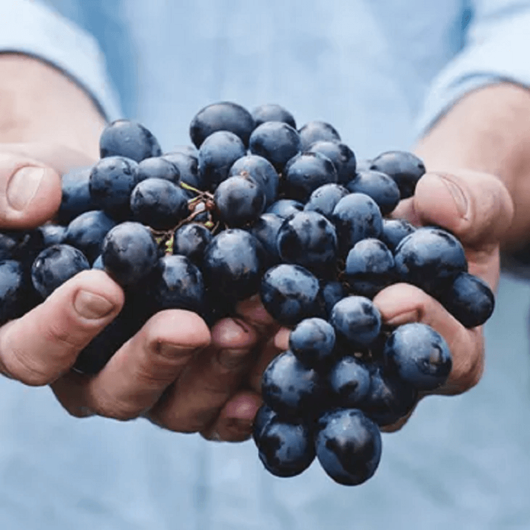 grapes 768x768