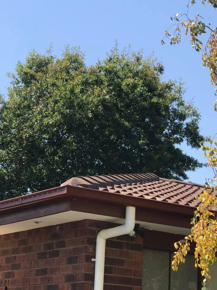 new slotted gutter and rebedding 3