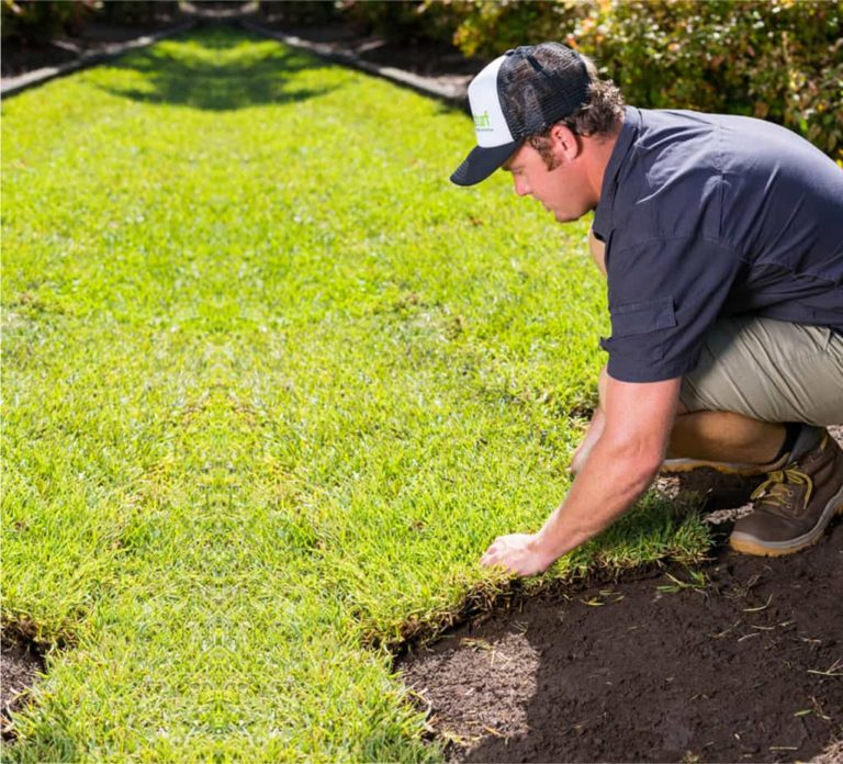 turf 1 768x696