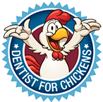 dentistforchickens