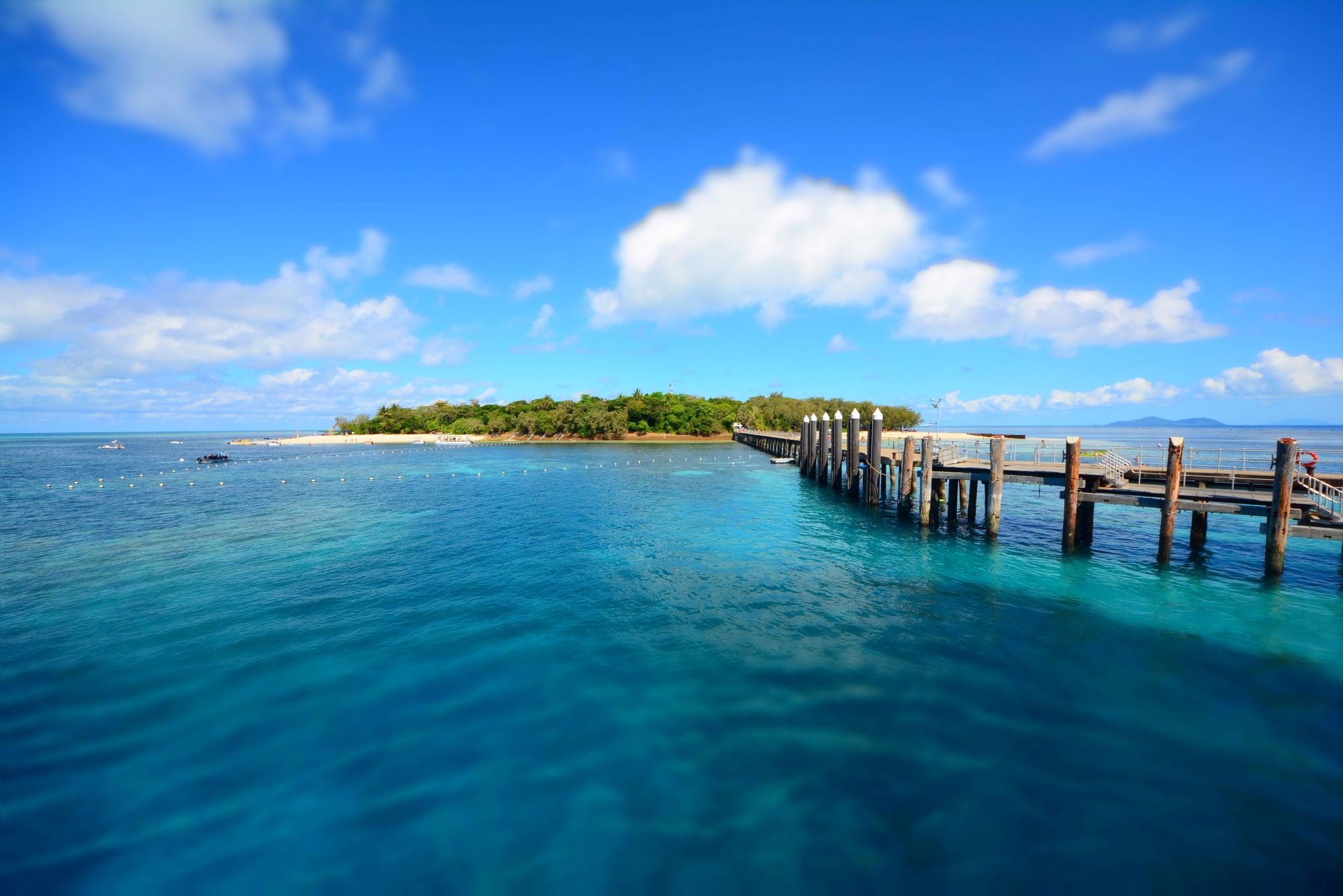 Great Barrier Reef popular activities​