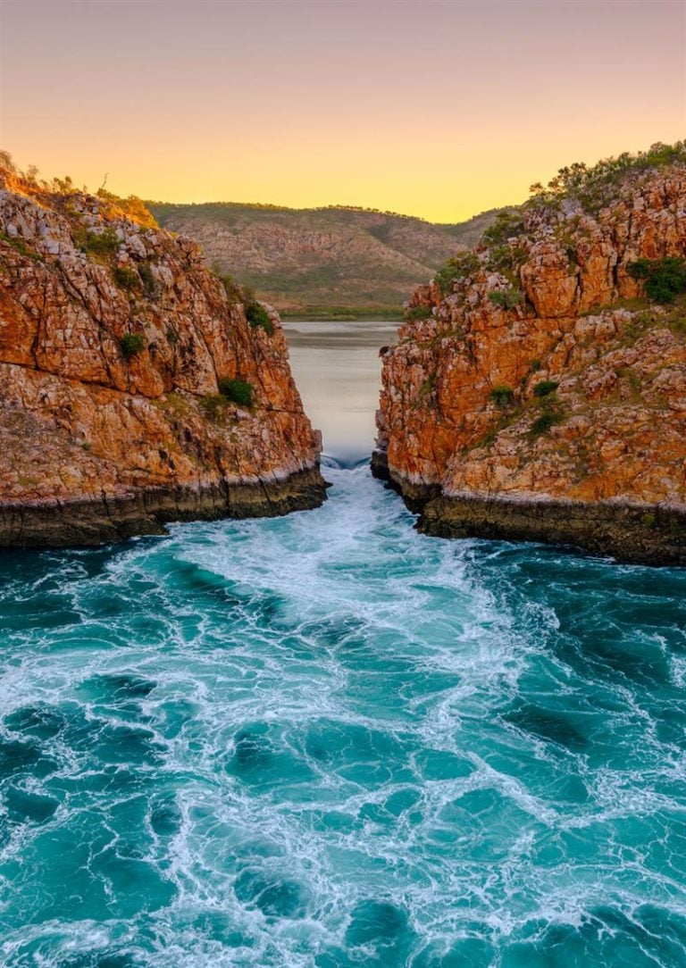 sobroome1 768x1084