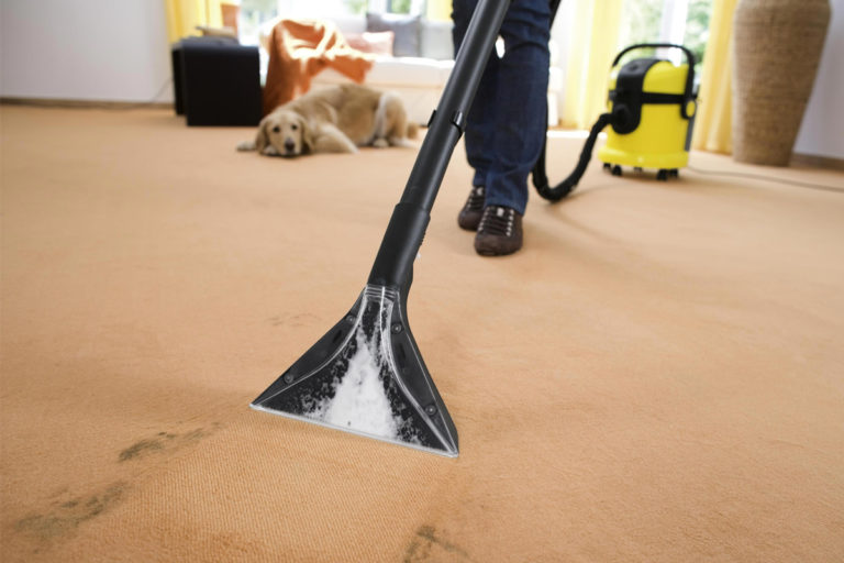 steamaid odor removal 768x512