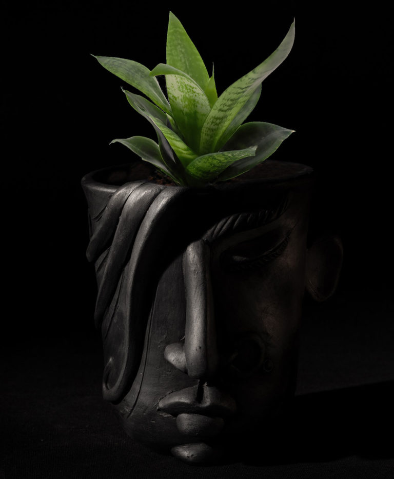 Nari Smoked Planted 768x934