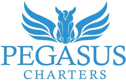 catamaran hire sydney pegasus charters