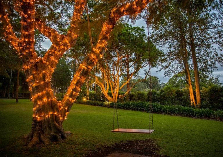 fairy lights australia 3 768x542