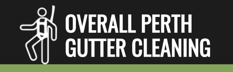 gutter cleaners 768x237