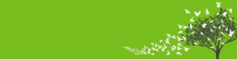 logo 8 768x192