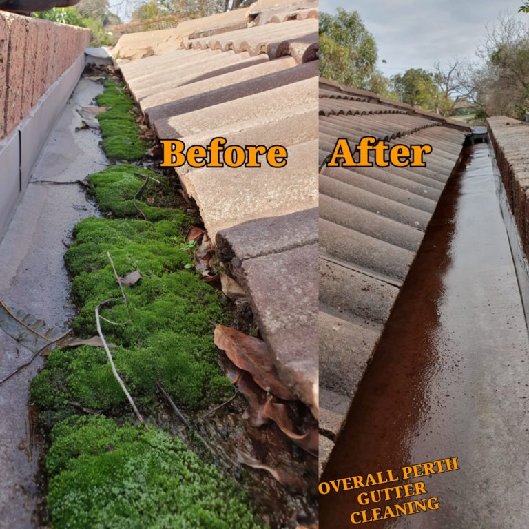 residential gutter cleaning perth 768x768