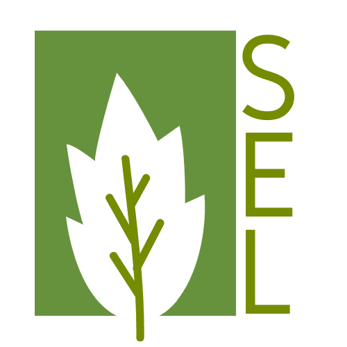 Small Logo