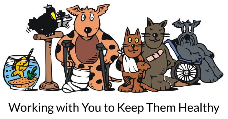 fivewaysvet logo 768x400