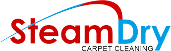 logo 20