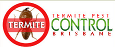 logo 6