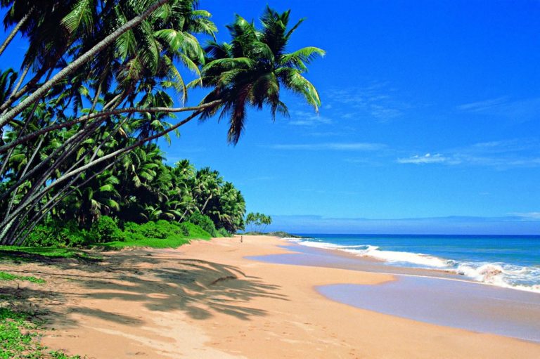 sri lanka 768x511