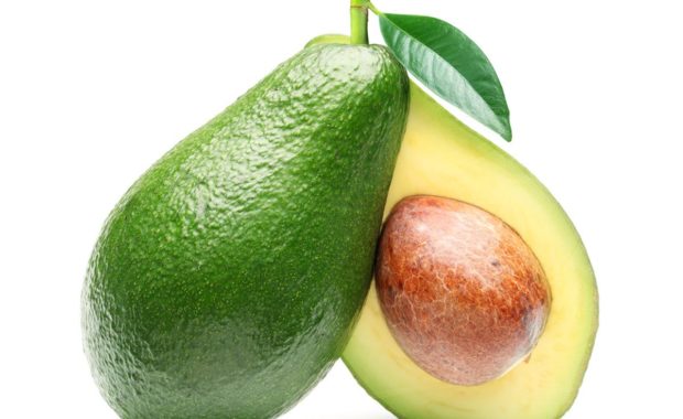 avocado 620x380 1