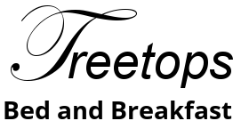 logo 1 3