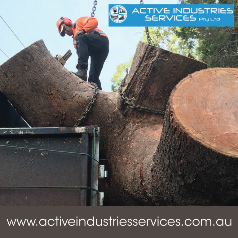 Dangerous Tree Removal SydneyACTIVE INDUSTRIES 768x768