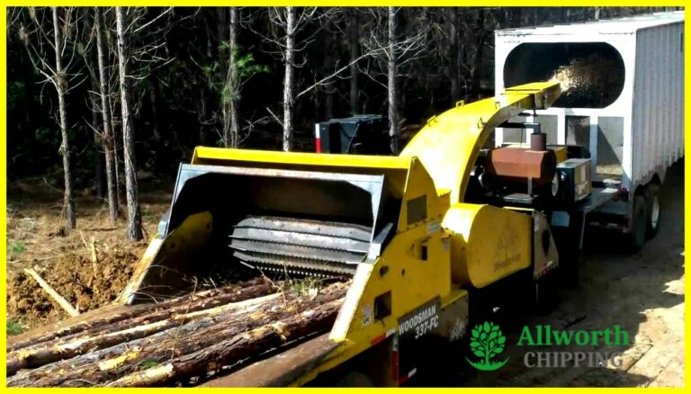 Tree Lopping Hunter Valley 768x438