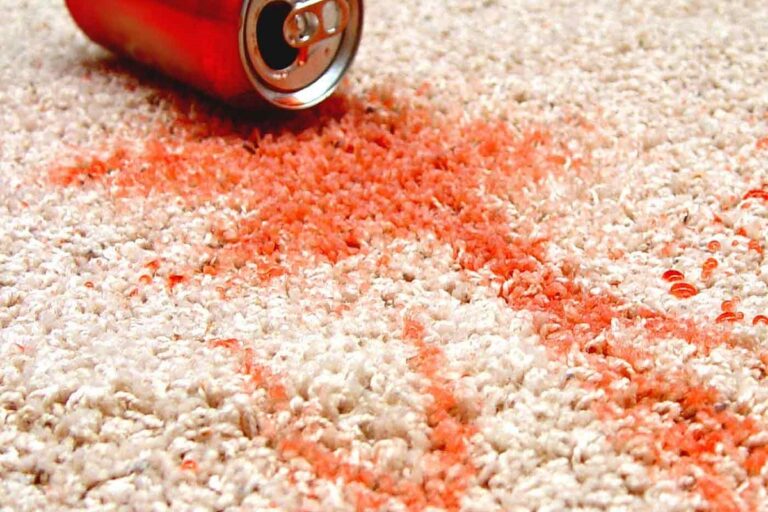 carpet stain remover 768x512