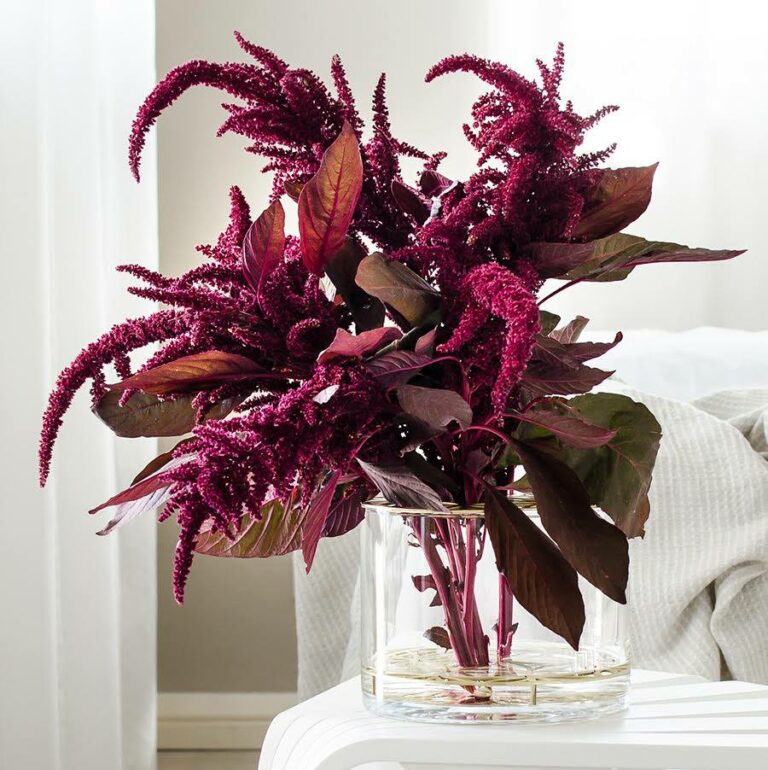 home decor accessories melbourne 2 768x770