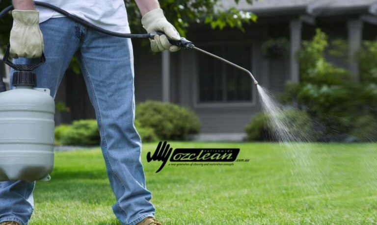 pest control sunshine coast 768x459