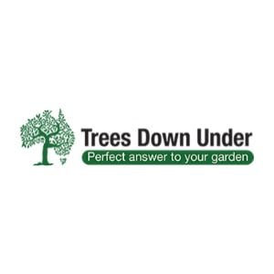 trees down under