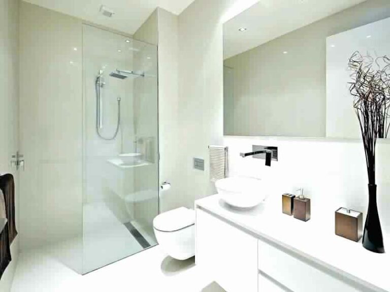 wall hung toilet2 768x576