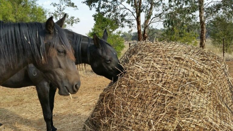 2. 4cm GutzBusta Slow Feed Hay Net 48ply 768x432