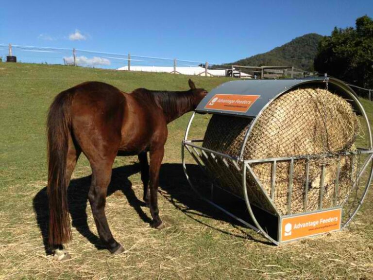 5. GutzBusta Round Bale Hay Net with Advantage Feeder 800 768x576
