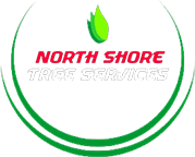 5d36845c0eef9bd08621d8f6 Logo
