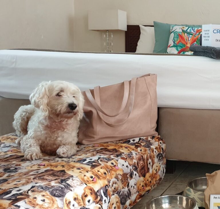Pet Friendly Maxxi v2 768x728