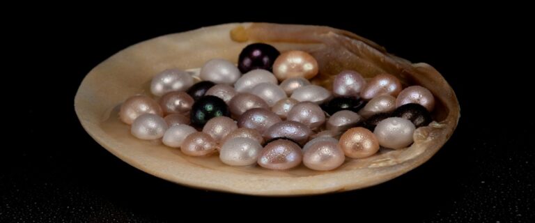 akuna pearls 257 1920x800 1400 768x320