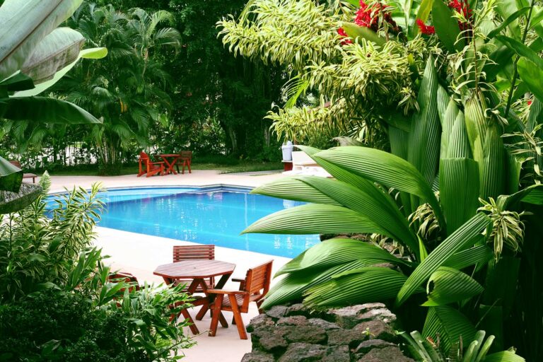 backyard pool landscape 768x512