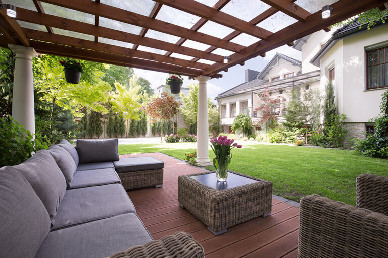 backyard1 768x512