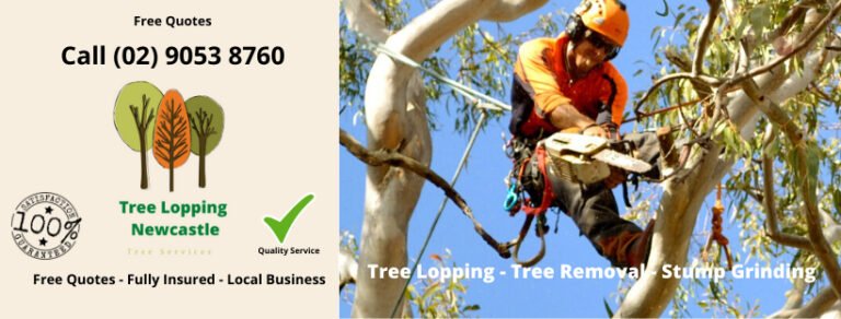 best tree loppers in Newcastle 768x292
