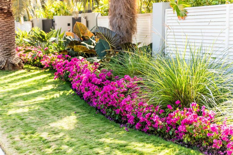 flower bed 768x512