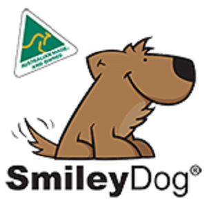 logo 13
