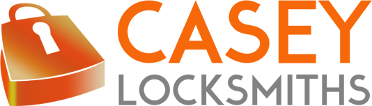 logo 21