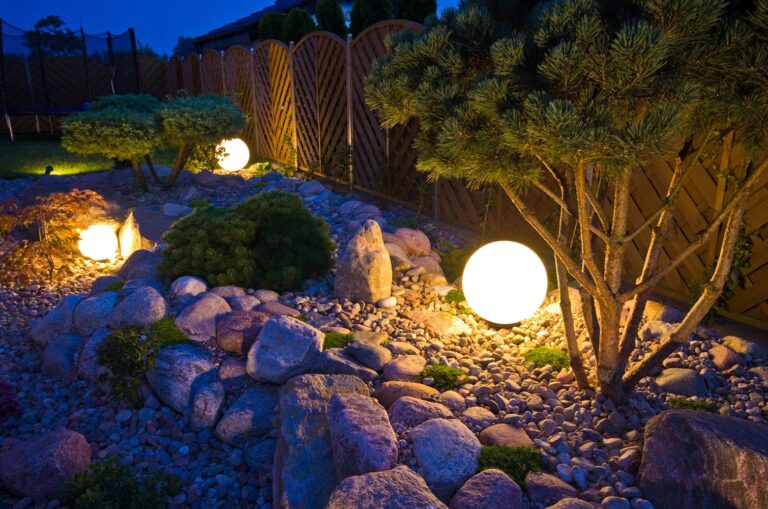 night time garden 768x509