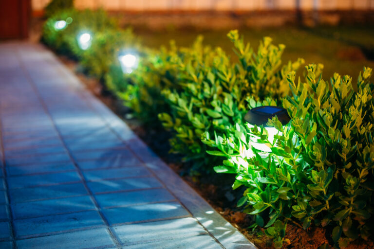 solar lights garden 768x512