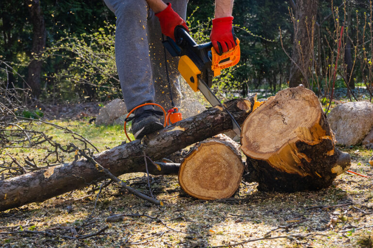 tree removal newcastle 768x512