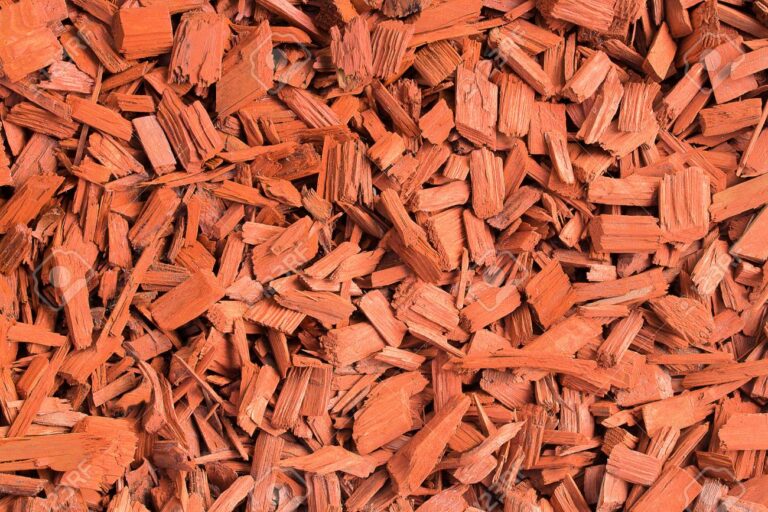 113497392 red wood chips natural texture background of red wooden pieces of tree bark wood chips mulch for gar 768x512