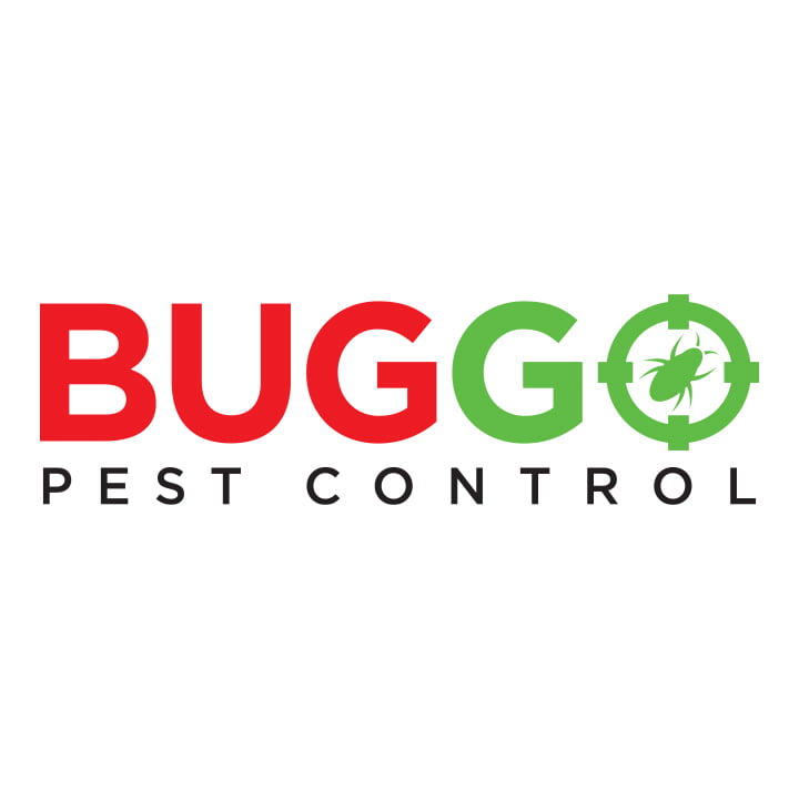 BUGGO Social Media