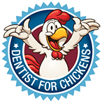dentistforchickens